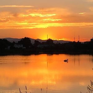 Meet your Posher, Charman